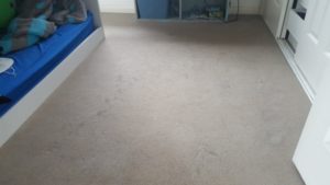 Dirty Bedroom Carpet In Gwynneville - before cleaning by Jason, a ChemDry-trained carpet cleaner 1