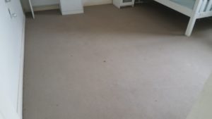 Dirty Bedroom Carpet In Gwynneville - before cleaning by Jason, a ChemDry-trained carpet cleaner 2