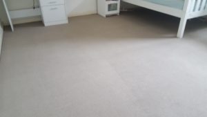 Dirty Bedroom Carpet In Gwynneville - after cleaning by Jason, a ChemDry-trained carpet cleaner 2