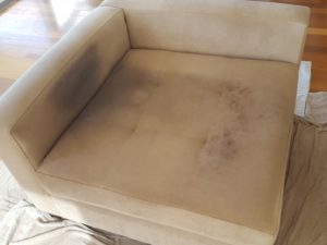 clean lounges from pet fur and stains - scarborough, wollongong and south coast - BEFORE cleaning by Chem-Dry Excellence 