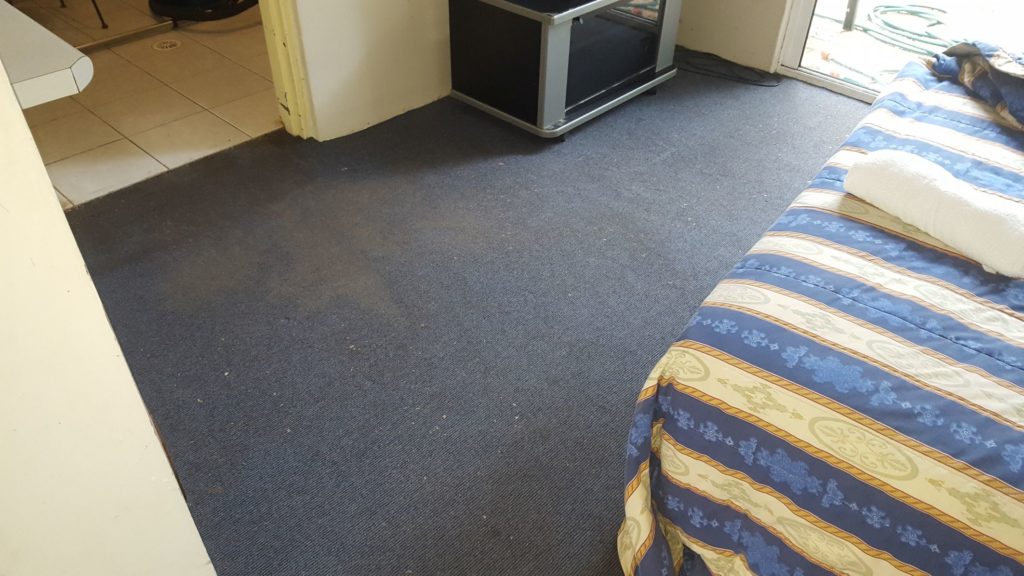 carpet cleaning in motel room at Wollongong - before photo
