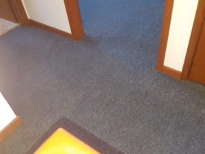 carpet in Corrimal - AFTER Chem-Dry Excellence cleaning