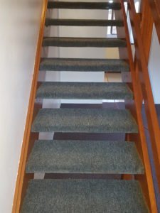 carpet in Corrimal - AFTER Chem-Dry Excellence cleaning - image 2