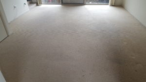 very dirty carpets in wollongong rental property - before chemdry cleaning