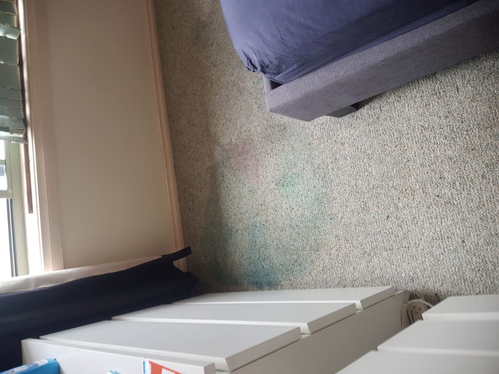Carpet spill in Shellharbour - before cleaning by Chem-Dry Excellence